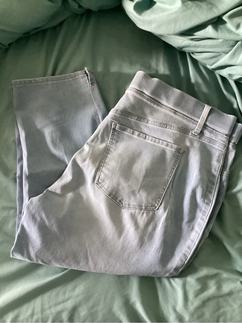 Terra & Sky Light Wash Blue Jeggings